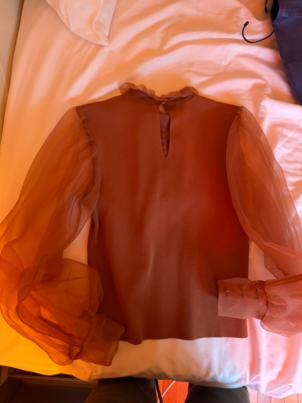 Zara Rust Brown Ruffled Sleeve Top - Picture 2 of 4
